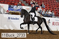 11buck_2733 proof