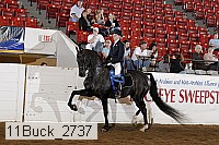 11buck_2737 proof