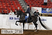 11buck_2738 proof