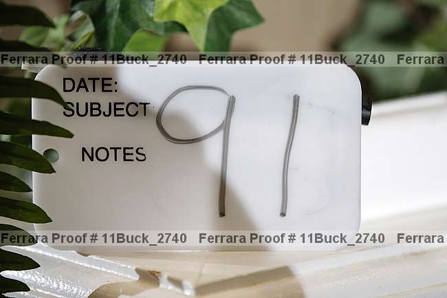 Proof 11buck_2740
