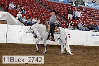 11buck_2742 proof