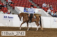 11buck_2743 proof