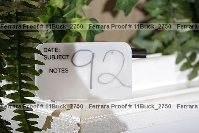 Proof 11buck_2750
