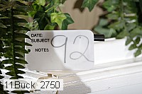 11buck_2750 proof