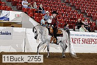 11buck_2755 proof