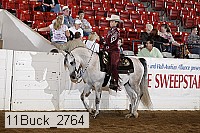 11buck_2764 proof