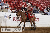 11buck_2768 proof