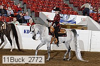 11buck_2772 proof