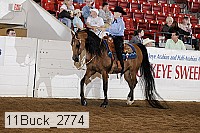 11buck_2774 proof
