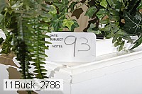 11buck_2786 proof