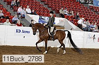 11buck_2788 proof