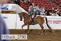 11buck_2790 proof