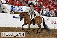 11buck_2794 proof