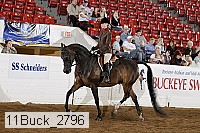 11buck_2796 proof