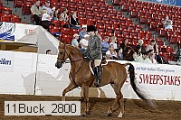 11buck_2800 proof