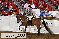 11buck_2803 proof