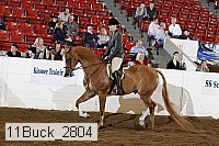 11buck_2804 proof