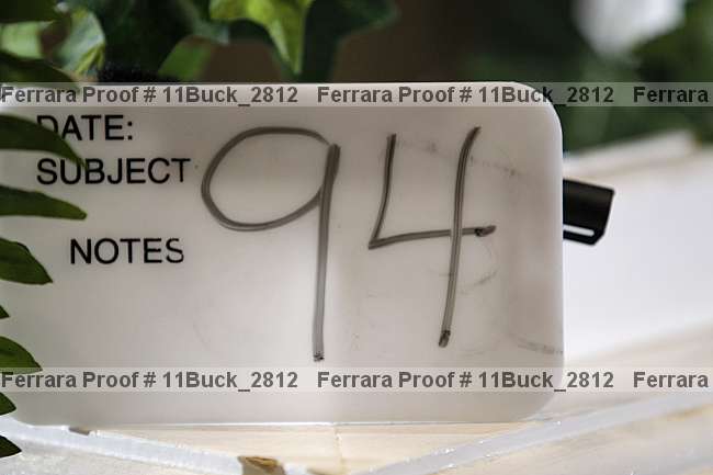Proof 11buck_2812