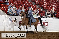 11buck_2820 proof