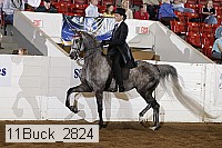 11buck_2824 proof