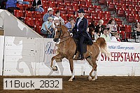 11buck_2832 proof