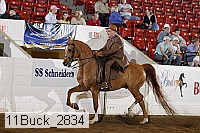 11buck_2834 proof