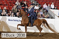 11buck_2838 proof
