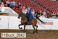 11buck_2842 proof