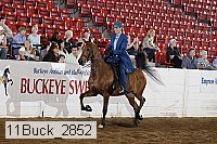 11buck_2852 proof