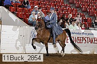 11buck_2854 proof