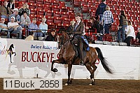11buck_2858 proof