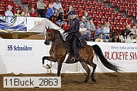 11buck_2863 proof