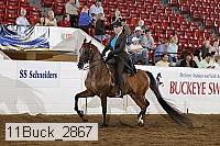 11buck_2867 proof