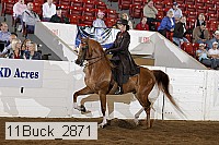 11buck_2871 proof