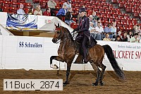 11buck_2874 proof