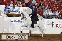 11buck_2876 proof