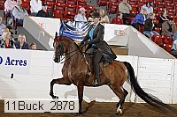 11buck_2878 proof