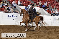 11buck_2887 proof