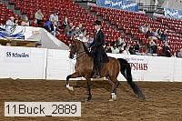 11buck_2889 proof
