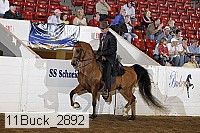 11buck_2892 proof