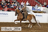 11buck_2894 proof