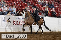 11buck_2903 proof