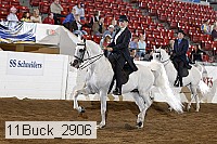 11buck_2906 proof