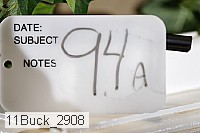 11buck_2908 proof