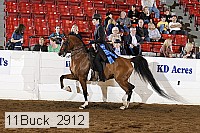 11buck_2912 proof