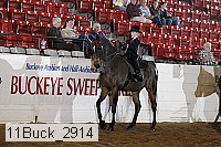 11buck_2914 proof