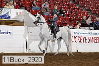 11buck_2920 proof