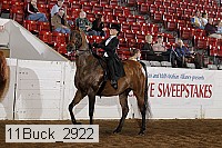 11buck_2922 proof