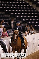 11buck_2923 proof