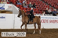 11buck_2929 proof